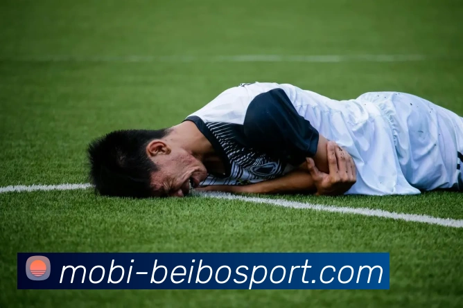 贝博体育平台生态图